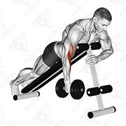 Animated demonstration of dumbbell one arm prone hammer curl