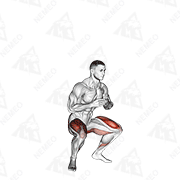 Animated demonstration of jump squat