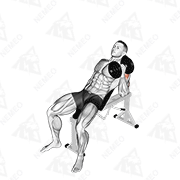 Animated demonstration of dumbbell incline one arm hammer press