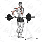 Animated demonstration of barbell rear delt raise