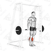 Animierte Vorführung von Smith Machine Wadenheben