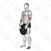 Animated demonstration of weighted standing curl