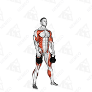 Animated demonstration of kettlebell double snatch