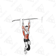 Dimostrazione animata di Muscle-up zavorrato alla sbarra
