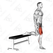 Animated demonstration of quads complex