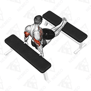 Animated demonstration of weighted bench dip