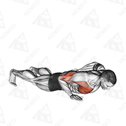 Demostración animada de Flexiones con una mano