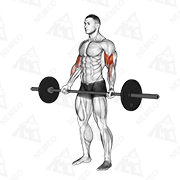 Animated demonstration of barbell standing wide-grip curl