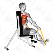 Animated demonstration of resistance band seated straight back row