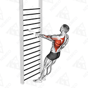 Animated demonstration of bodyweight standing one arm row (with towel)