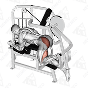 Animated demonstration of lever hip extension v. 2