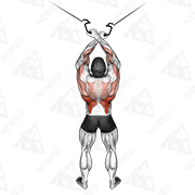 Animated demonstration of cable cross-over lateral pulldown
