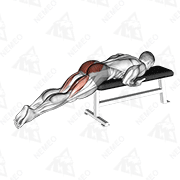 Animated demonstration of reverse hyper on flat bench
