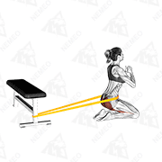 Animated demonstration of resistance band hip thrusts on knees (female)