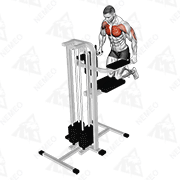 Animated demonstration of assisted wide-grip chest dip (kneeling)