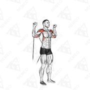 Animated demonstration of cable shoulder press