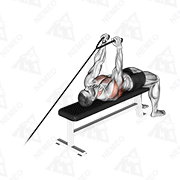 Animated demonstration of cable lying extension pullover (with rope attachment)