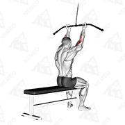 Animated demonstration of cable pulldown bicep curl