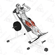 Animated demonstration of sled hack squat