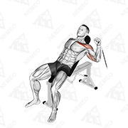 Animated demonstration of cable one arm incline press with rigid