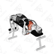 Animated demonstration of dumbbell one arm decline chest press