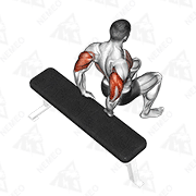 Animated demonstration of bench dip (knees bent)