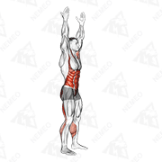 Animated demonstration of arms apart circular toe touch (male)