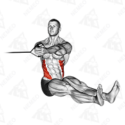 Animated demonstration of band seated twist