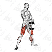 Animated demonstration of dumbbell plyo squat