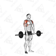 Animated demonstration of barbell standing front raise over head