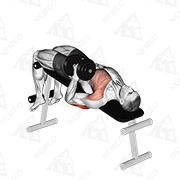Animated demonstration of dumbbell decline one arm hammer press