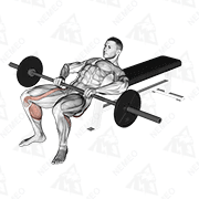 Animated demonstration of barbell lying lifting (on hip)