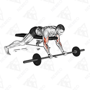 Animated demonstration of barbell lying preacher curl