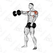 Animated demonstration of dumbbell standing alternate raise