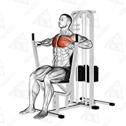 Animated demonstration of lever chest press