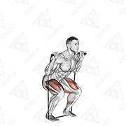 Animated demonstration of band squat
