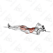 Animated demonstration of cable tuck reverse crunch