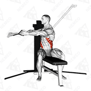 Animated demonstration of cable seated twist