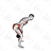 Démonstration animée de l’exercice balancement (swing) de kettlebell