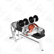 Animated demonstration of dumbbell reverse bench press