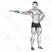 Animated demonstration of band one arm overhead biceps curl