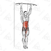 Animated demonstration of hanging leg hip raise