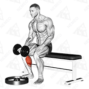 Animated demonstration of dumbbell seated one leg calf raise - palm up