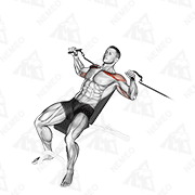 Animated demonstration of cable incline bench press