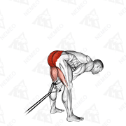 Animated demonstration of band pull through
