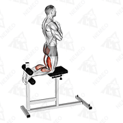 Animated demonstration of glute-ham raise