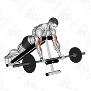 Animated demonstration of barbell prone incline curl
