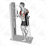 Animated demonstration of lever standing chest press