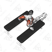 Animated demonstration of triceps dip (between benches)