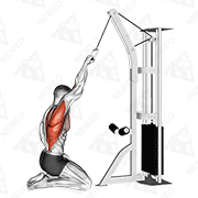 Animated demonstration of cable one arm straight back high row (kneeling)